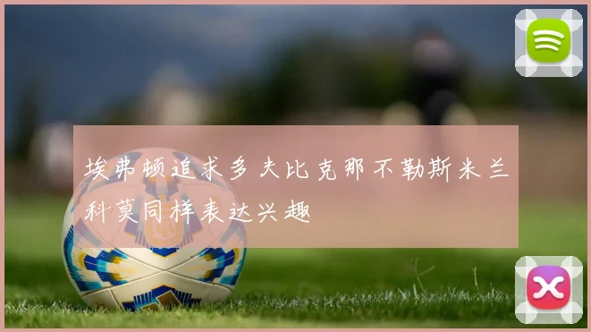 埃弗顿追求多夫比克那不勒斯米兰科莫同样表达兴趣
