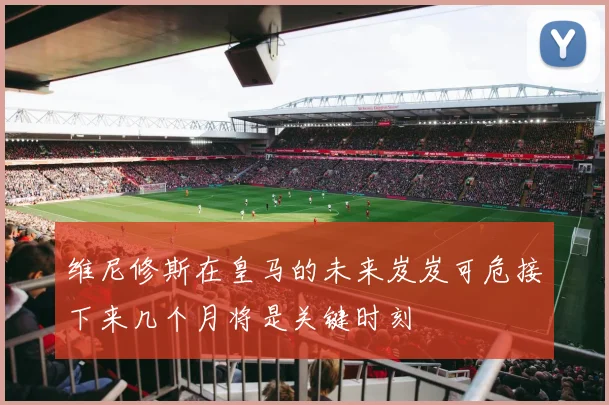 维尼修斯在皇马的未来岌岌可危接下来几个月将是关键时刻