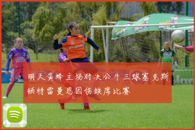 明天黄蜂主场对决公牛三球塞克斯顿特雷曼恩因伤缺席比赛