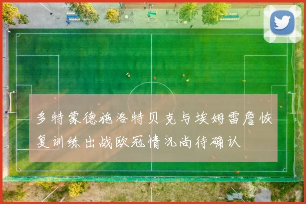 多特蒙德施洛特贝克与埃姆雷詹恢复训练出战欧冠情况尚待确认